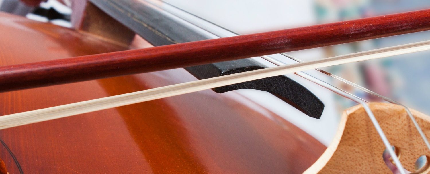 Close up of cello strings