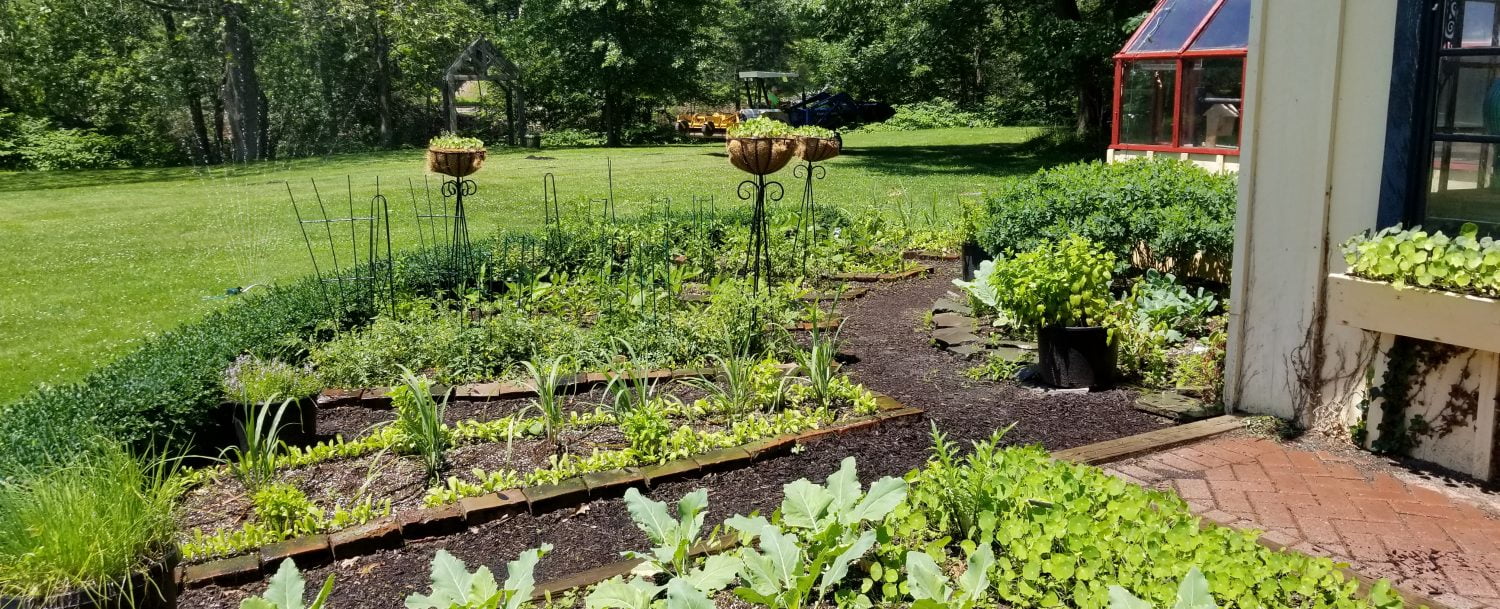 garden scene