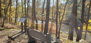 bench on the river in autumn