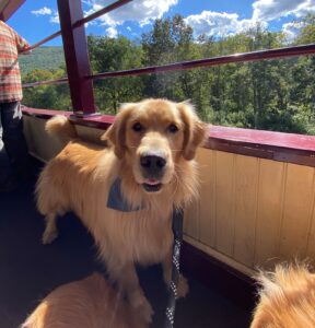 Dog Friendly Vacation in the Poconos